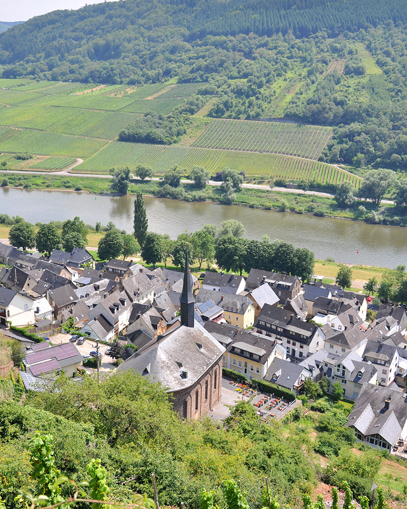 Valwig Mosel Wandern